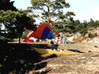 camplife 2